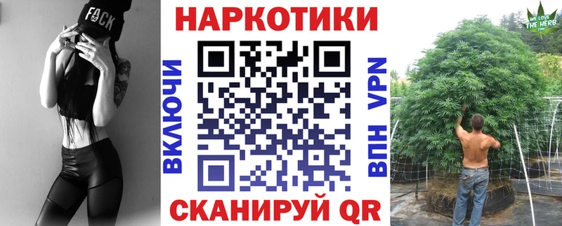 Как найти наркотики Кудрово omg вход  COCAIN  СК  Меф  Гашиш  Бошки Шишки 