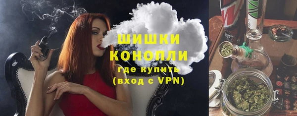 шишки Нязепетровск