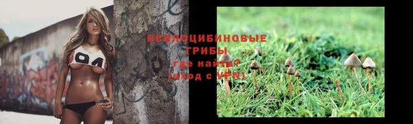 герыч Няндома