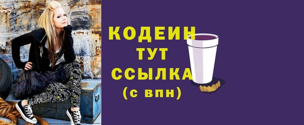 шишки Нязепетровск