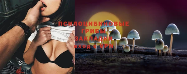 шишки Нязепетровск