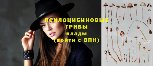 ПСИЛОЦИБИНОВЫЕ ГРИБЫ Новодвинск