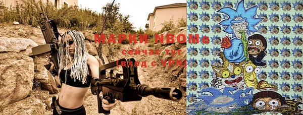 гашик Болохово
