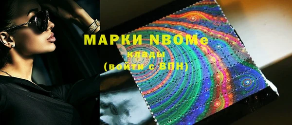 шишки Нязепетровск