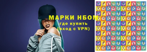 шишки Нязепетровск