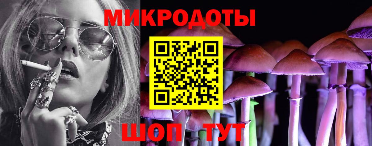 Псилоцибиновые грибы MAGIC MUSHROOMS  Галлюциногенные грибы Psilocybe  Вход с VPN  Кудрово 
